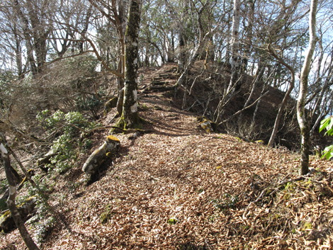 20161206hike (246)